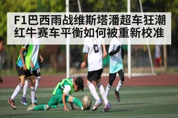 F1巴西雨战维斯塔潘超车狂潮红牛赛车平衡如何被重新校准 | stake